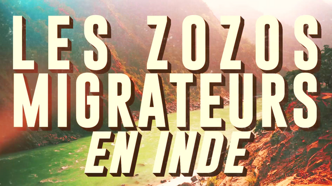 LES ZOZOS MIGRATEURS TRAILER